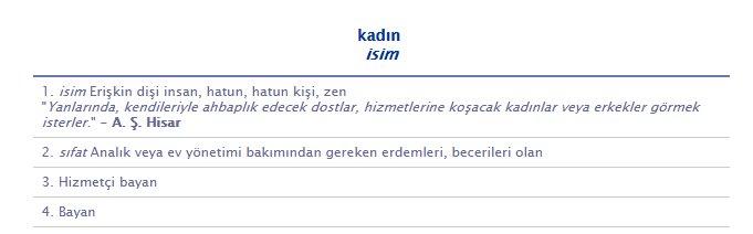 TDK Başkanı Mustafa Kaçalin'den müsait açıklaması