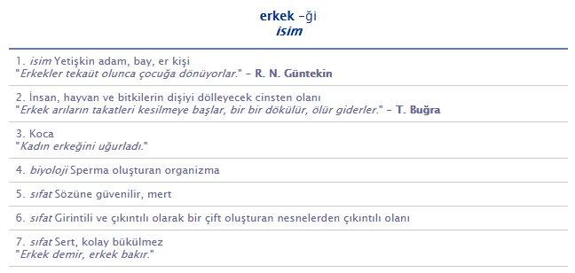 TDK Başkanı Mustafa Kaçalin'den müsait açıklaması