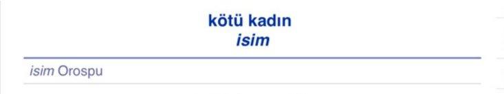 TDK Başkanı Mustafa Kaçalin'den müsait açıklaması