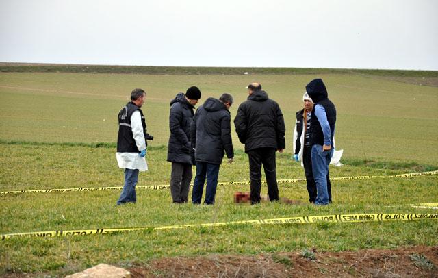 Eskişehir'de köpekler genç bir kadını parçaladı