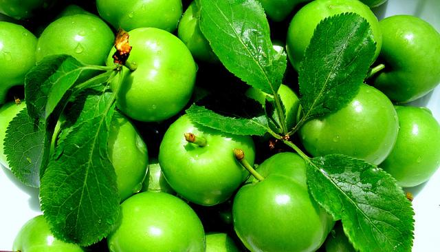 Erik kilosu 120 liradan satışa sunuldu