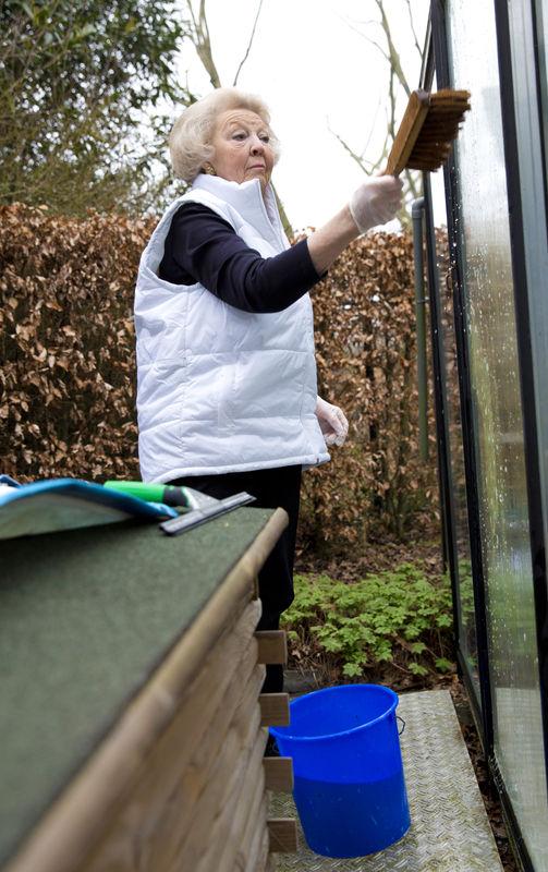 Hollandalı kraliçe Beatrix temizlikte