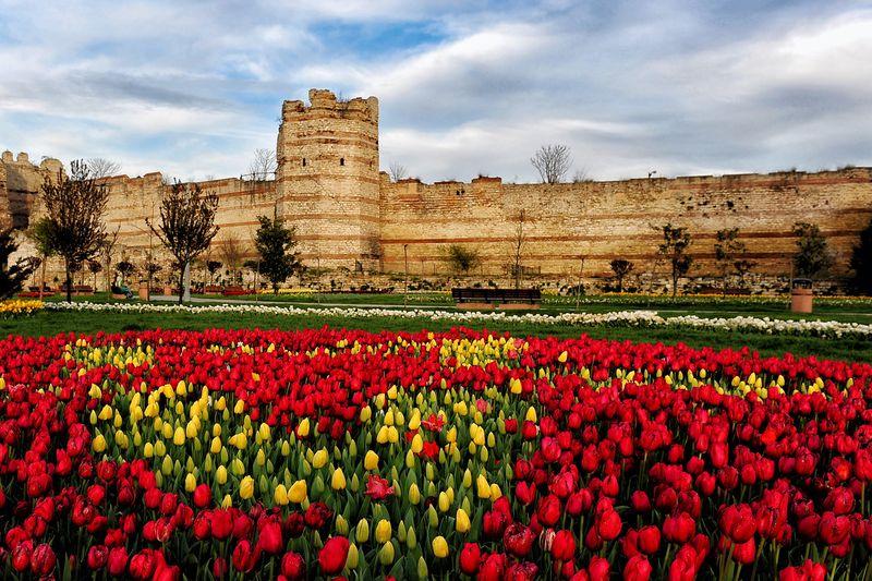 İstanbul'da lale zamanı başlıyor