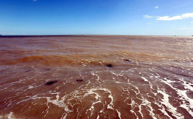 Antalya Körfezi'ni çamur kapladı