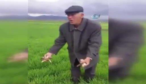 Afyonkarahisar'da köylülerin balık şaşkınlığı İZLE