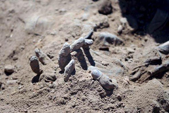 Tikrit'te askerlerin gömüldüğü 12 toplu mezar bulundu