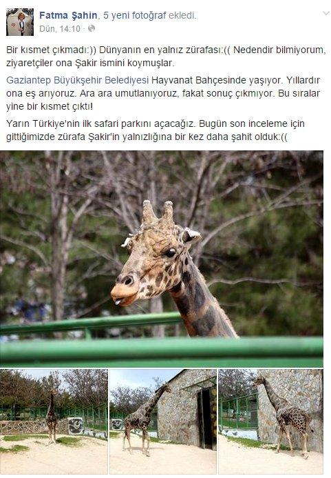 Türkiye'nin ilk Safari Parkı Gaziantep'te açıldı