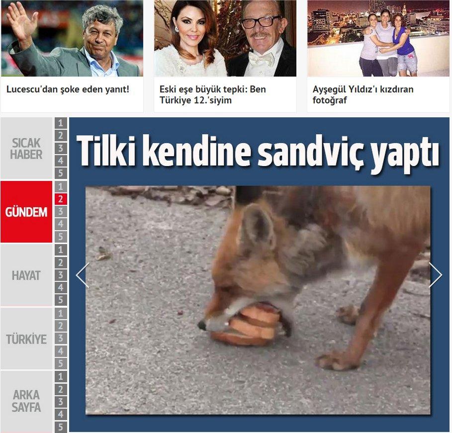 Gezi ve Cemaat medyası Baltimore'u görmüyor