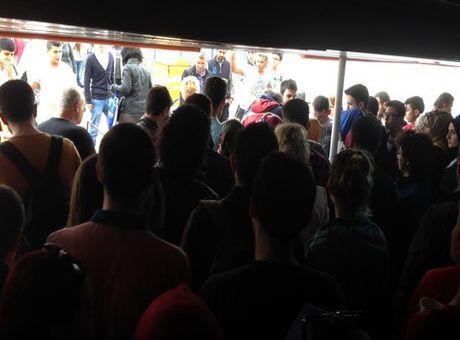 Ada vapuru halatının bağlı olduğu koç boynuzu koptu