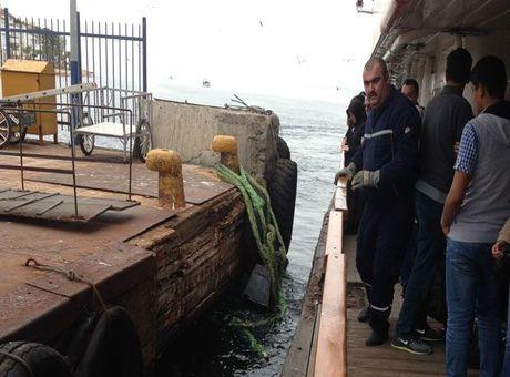 Ada vapuru halatının bağlı olduğu koç boynuzu koptu