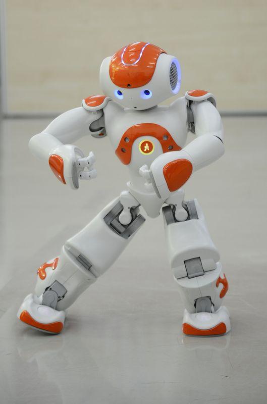 Çocuk robot iCub'a kardeş geldi