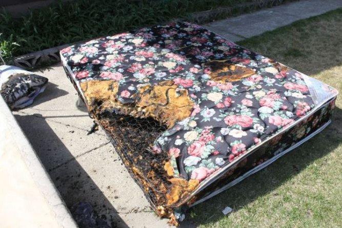 Kanada'da şarjdaki iPhone 6 patladı