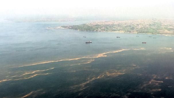 Marmara Denizi gübrelenme yaşıyor iddiası