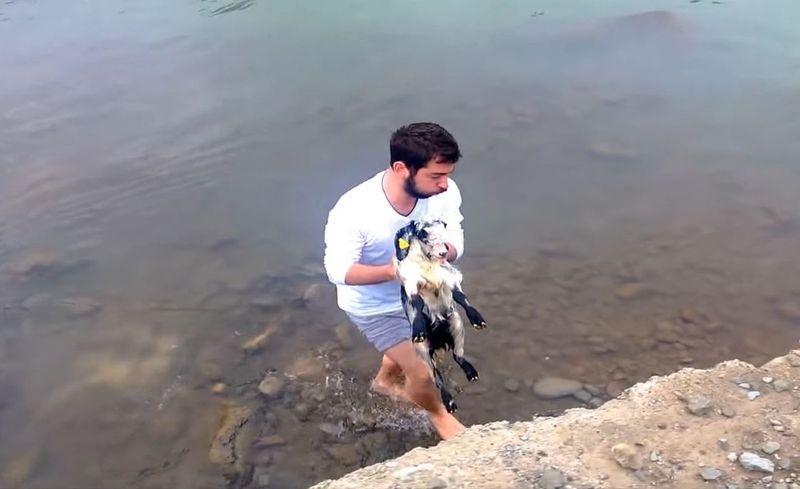 Karadenizli gencin kuzu kurtarma operasyonu