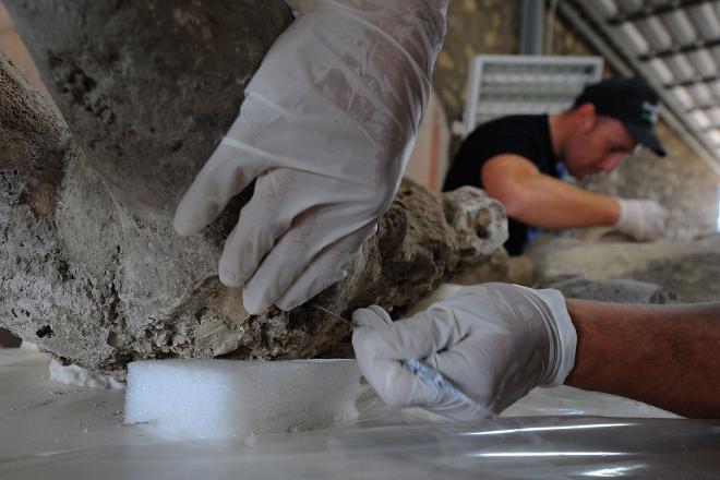 Pompei'deki kazılarda taşlaşmış bebek cesedi çıkarıldı