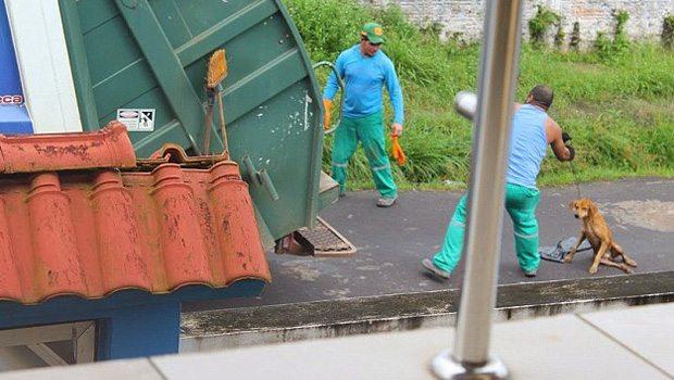 Çöpçü çarptığı köpeği canlı canlı çöp kamyonuna attı