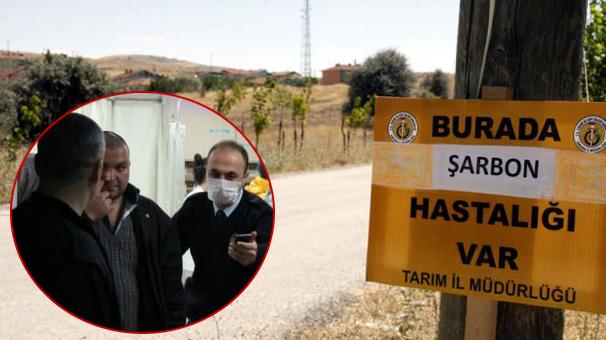 Giresun'da 4 kişiye şarbon teşhisi konuldu