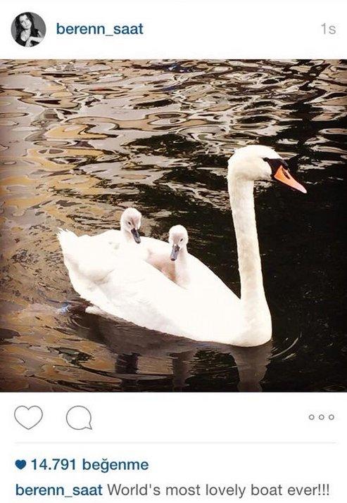 Beren Saat'ten koalisyon benzetmesi