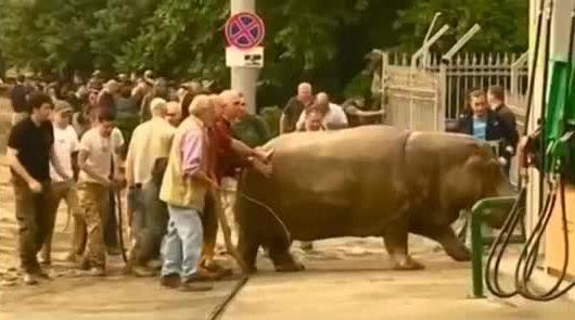 Gürcistan'ın başkenti Tiflis'te sel