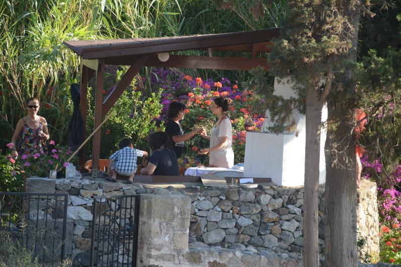 Nurgül Yeşilçay'ın çiftliği