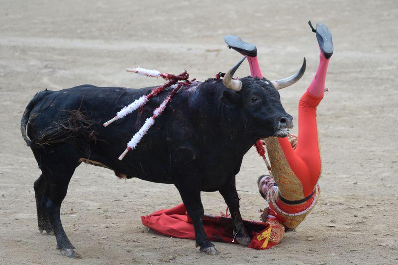 İspanya'da boğa güreşi düzenlendi
