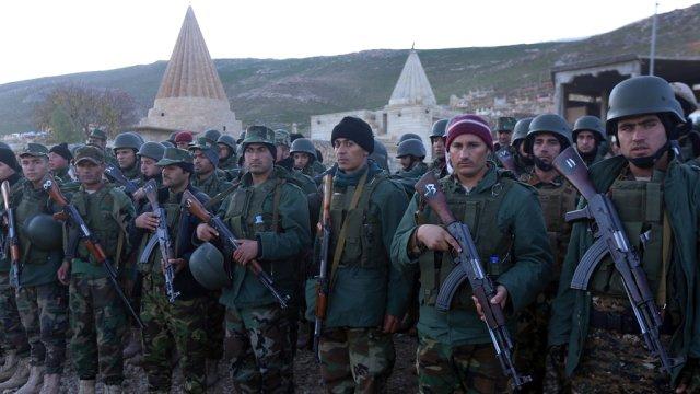 Almanya Ezidileri eğitmeye başladı