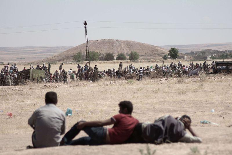 Sınırda toplanan kalabalık Kobani'yi izledi