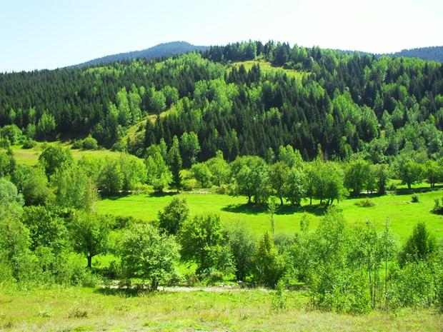 Dünyanın en sakin şehri Artvin'in Şavşat ilçesi oldu