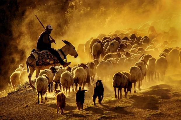 Bitlis'te zorlu yolculuk