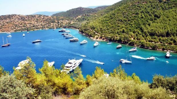 Bodrum koylarında tekne trafiği