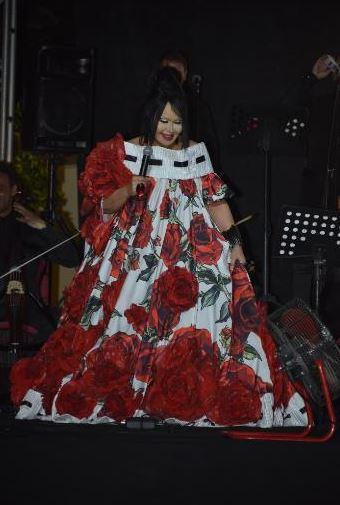 Bülent Ersoy 180 metre kumaşı neden aldığını açıkladı