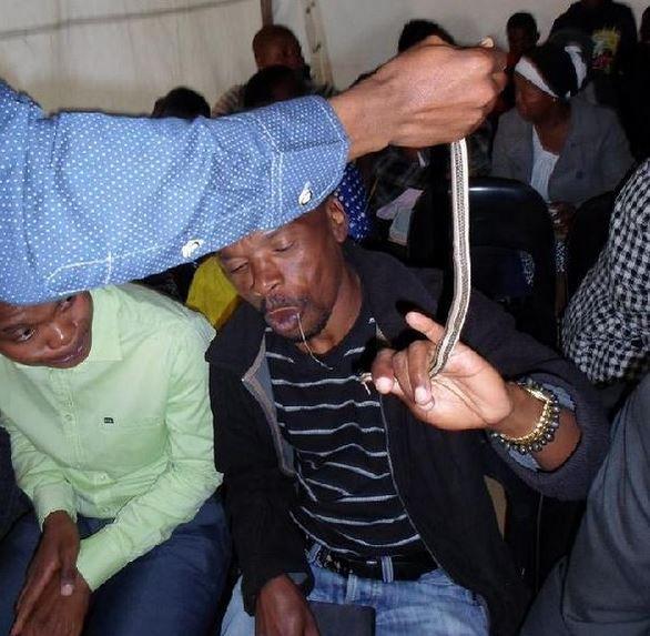 Yılan yediren papaza ceza