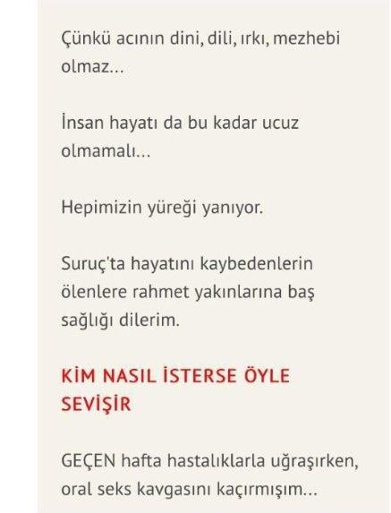 Ayşe Arman Suruç saldırısından oral sekse geçti