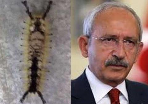 Tırtılın sırtında Kılıçdaroğlu silüeti belirdi