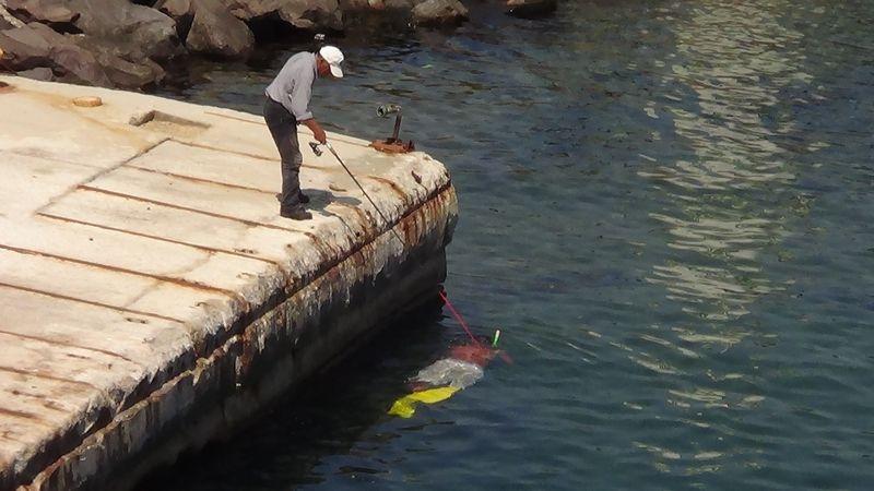 Bu kez oltaya dalgıç takıldı