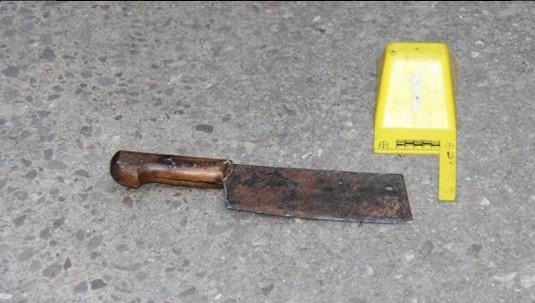 Babasının boğazını satırla kesti