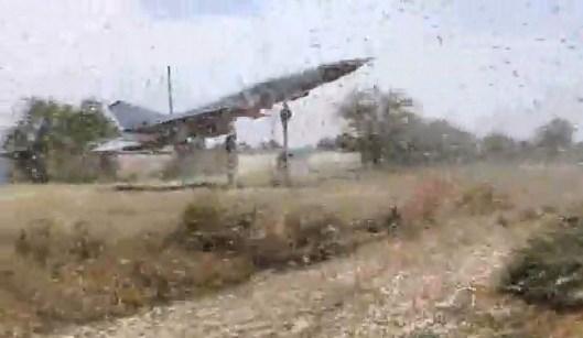 Rusya'yı çekirgeler istila etti