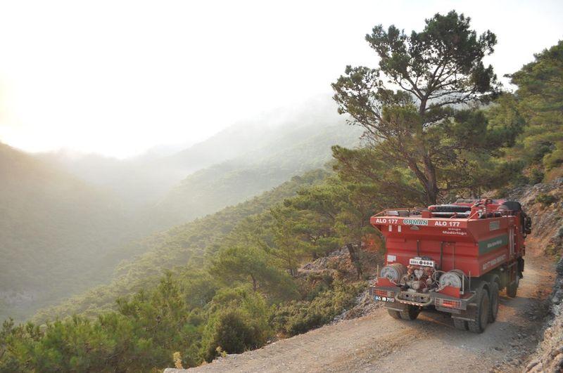 İzmir'de düşen yıldırım ormanı yaktı