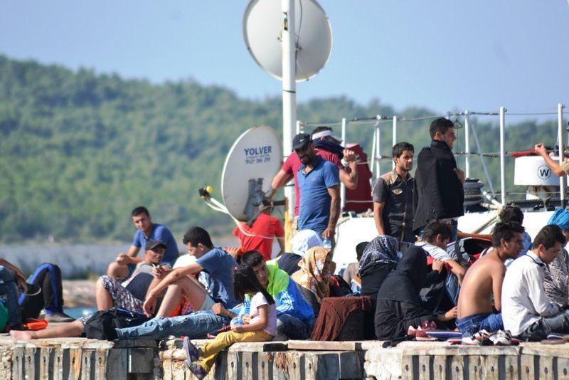 Ayvalık'ta 275 kaçak göçmen yakalandı