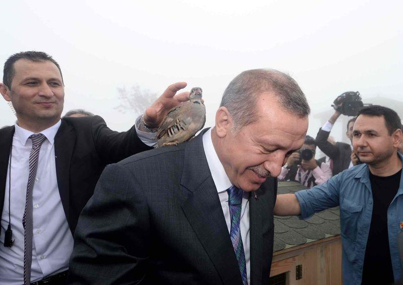Cumhurbaşkanı Erdoğan'ın başına keklik kondu