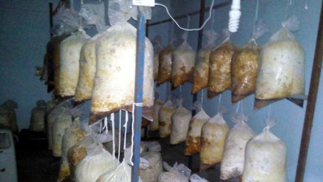 Diyarbakır’ı yok etmeye yetecek bomba yakalandı