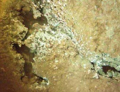 Murat Bardakçı büyük İstanbul depremini yazdı