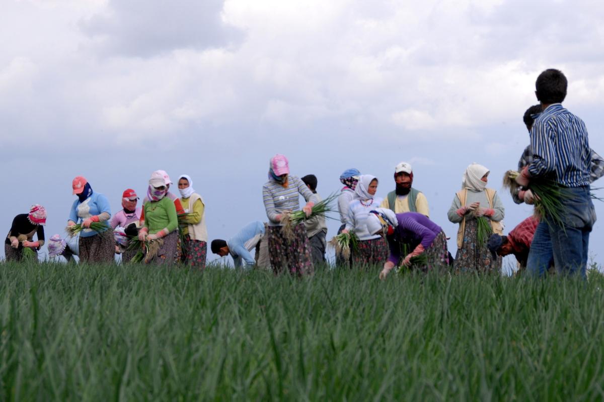 Türkiye genelinde işsizlik arttı