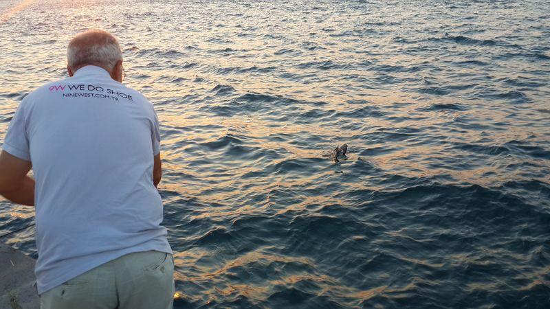 Üsküdar'da balık beklerken oltaya martı takıldı