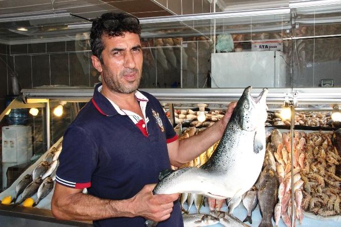Balık fiyatları altını solladı