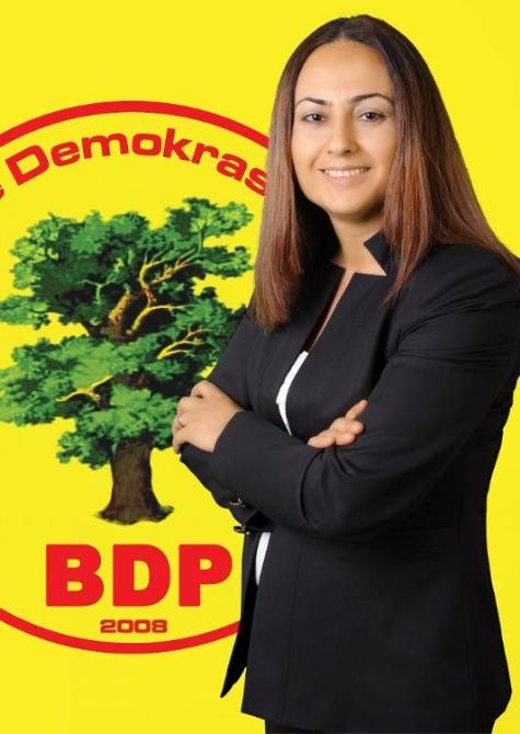 Silvan Belediyesi Eş Başkanı gözaltına alındı