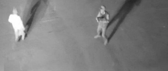 PKK'lıların iş makinesiyle zarar verdiği görüntüler