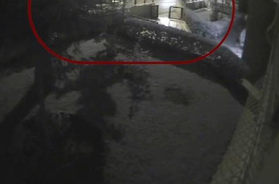 Şile'deki korkunç cinayet ortaya çıktı