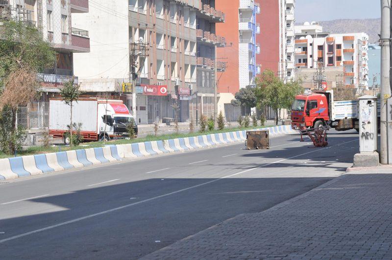 Sokağa çıkma yasağı uygulanan Cizre'de operasyon