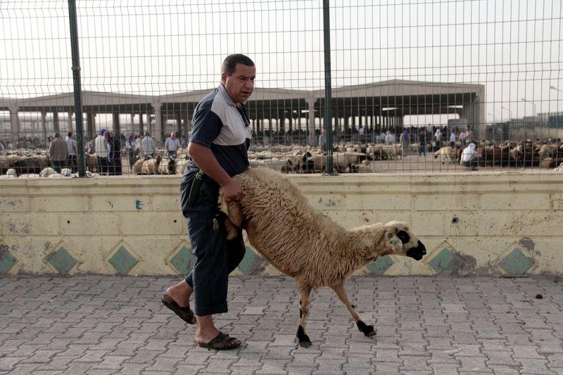 Şanlıurfa'da Kurban Bayramı hareketliliği başladı